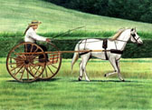 Carriage Driving, Equine Art - Sunday Drive